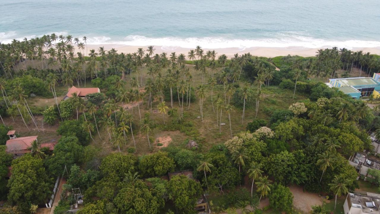 Turtle Wood Cabin Tangalle Buitenkant foto