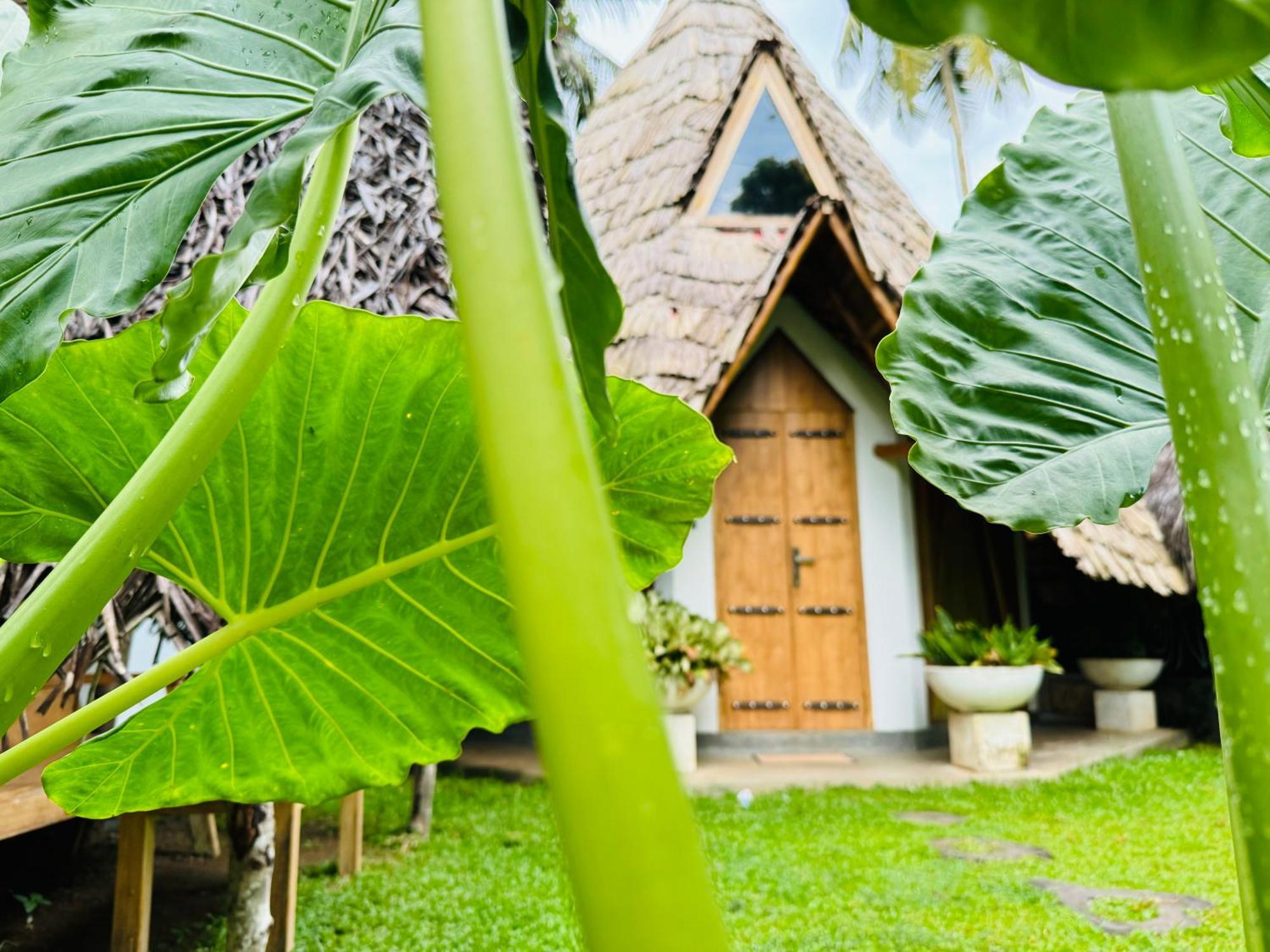 Turtle Wood Cabin Tangalle Buitenkant foto