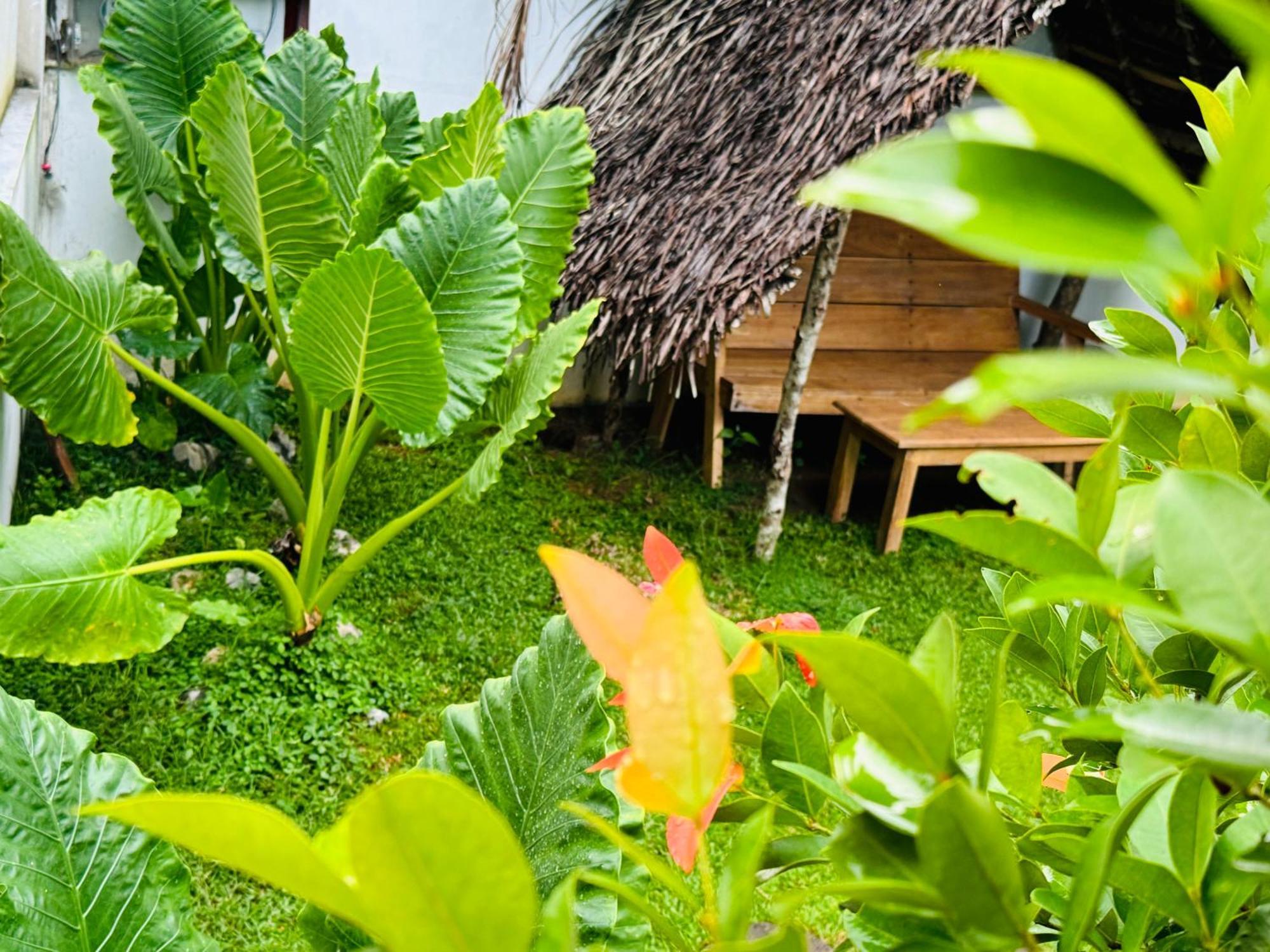 Turtle Wood Cabin Tangalle Buitenkant foto