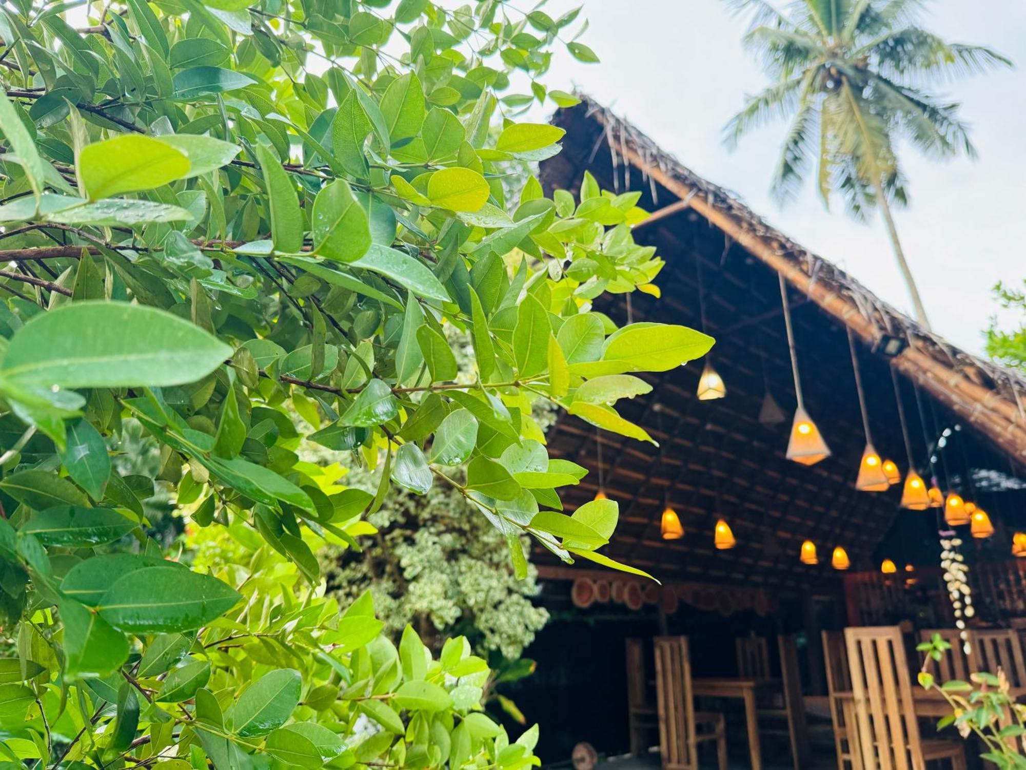 Turtle Wood Cabin Tangalle Buitenkant foto