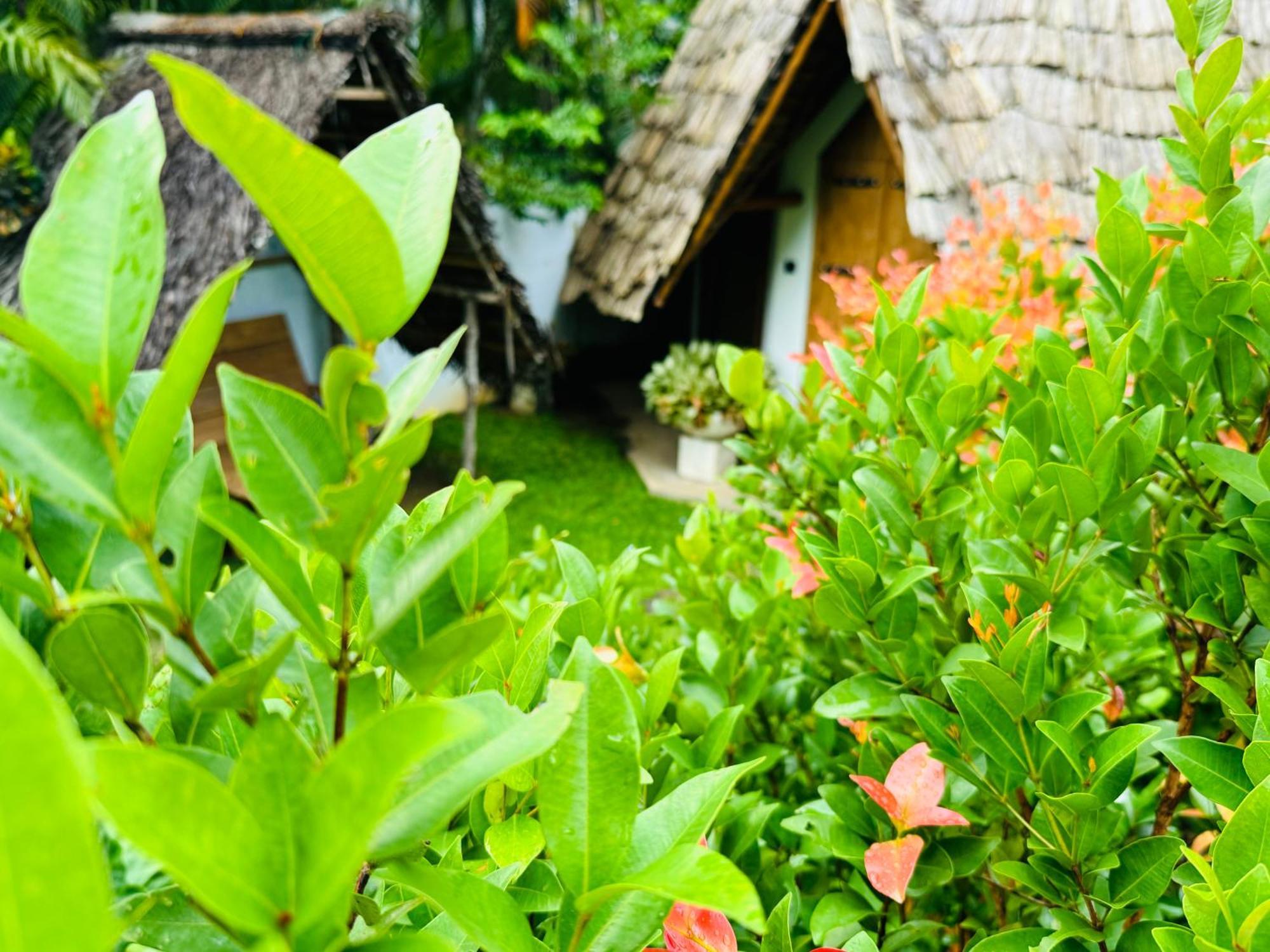 Turtle Wood Cabin Tangalle Buitenkant foto